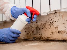 Best Crawl Space Mold Remediation  in Smithfield, VA